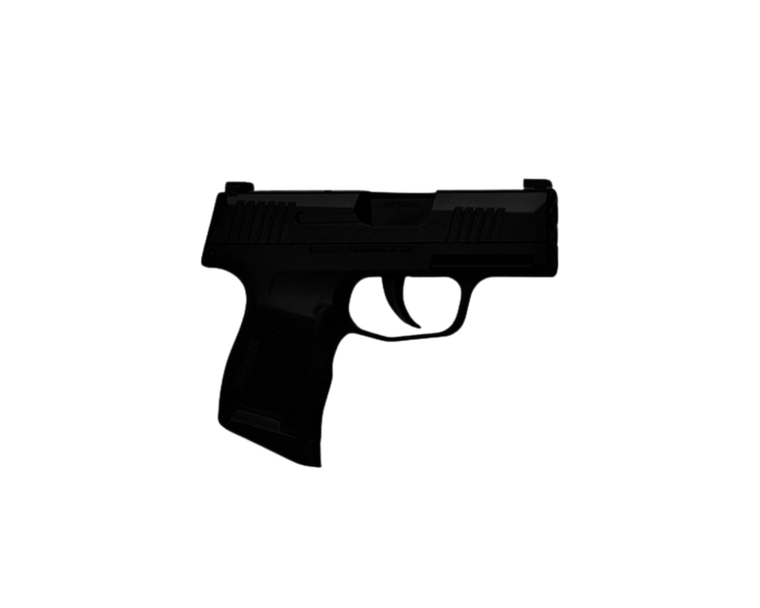 Torch Sig P365 Coming Soon