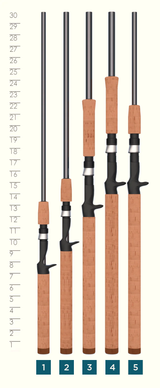 Triumph Casting Rod