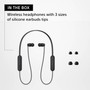Sony WI-C100 Wireless in-Ear Bluetooth Headphones with Built-in Microphone,Black
