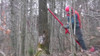 Reipal Type VI+ RH-PUSHER Tree Jack from Sweden with 23.6 inches longer Top Pipe for increased leverage.
