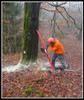 Reipal Type V RH-Tree Pusher Tree Jack from Sweden Pushing Hardwood Trees Safely