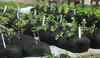 EZ 4x6 ft Raised Bed Garden Soxx kit  No Need to Weed! for Vegetables Flowers