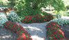 EZ 4x6 ft Raised Bed Garden Soxx kit  No Need to Weed! for Vegetables Flowers