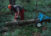 LogRite JA016 Junior Arch Rolling Log Carry Cart