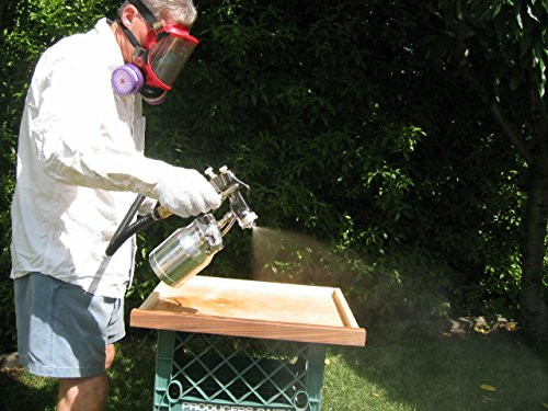 Apollo Sprayers HVLP POWER-4 4-Stage Turbo Paint Spray System, 5510 Spray Gun & 24' Hose