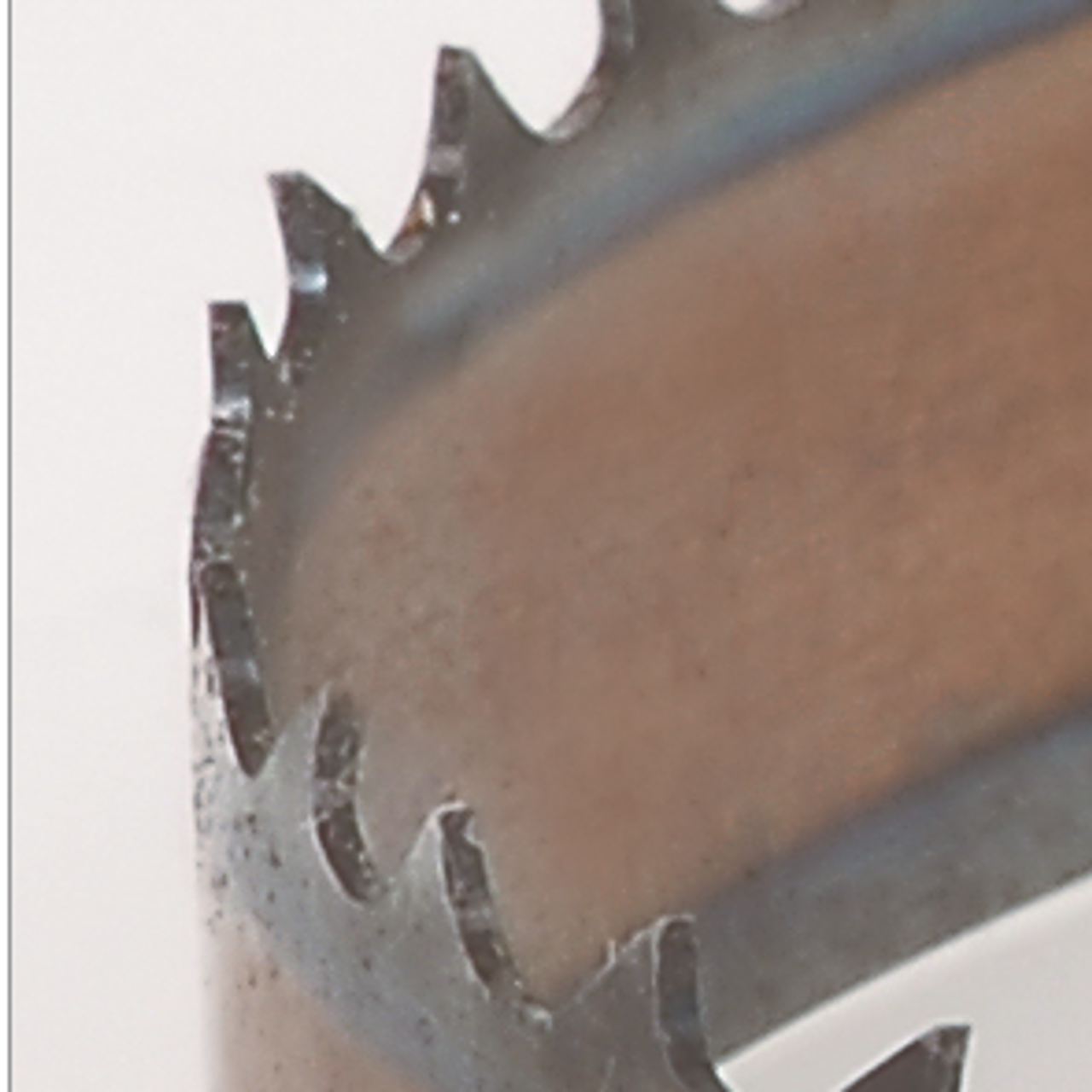 Timber Wolf 100 1/2" x 3/4" x 3TPI x .025 Silicon Steel Bandsaw Blade Timber Wolf 100 1/2" x 3/4" x 3TPI x .025 Silicon Steel Bandsaw Blade