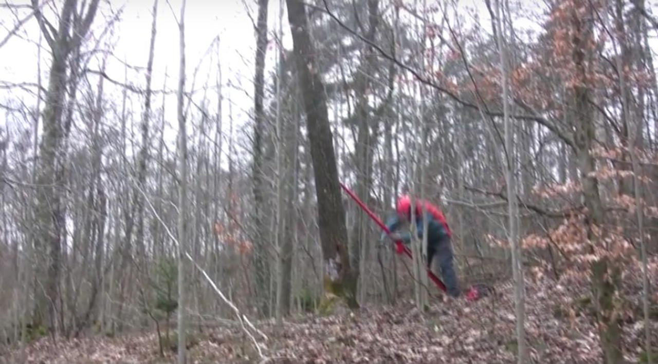 PREORDER - Reipal Type III RH-PUSHER Swedish Tree Jack Pushing Medium Soft to Hardwood Trees | Expected arrival December 05, 2025