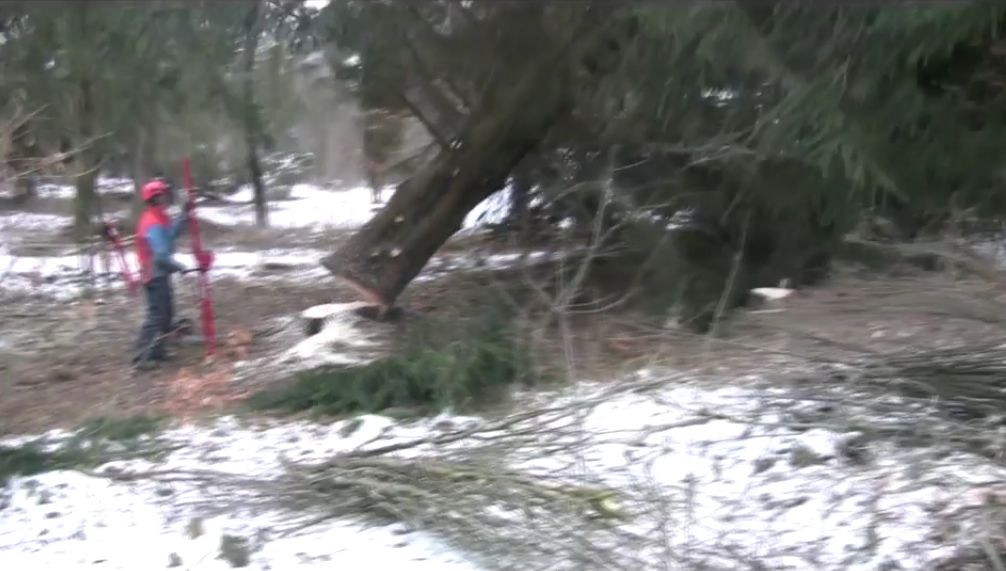 Reipal Type III RH-PUSHER Swedish Tree Jack Pushing Medium Soft to Hardwood Trees