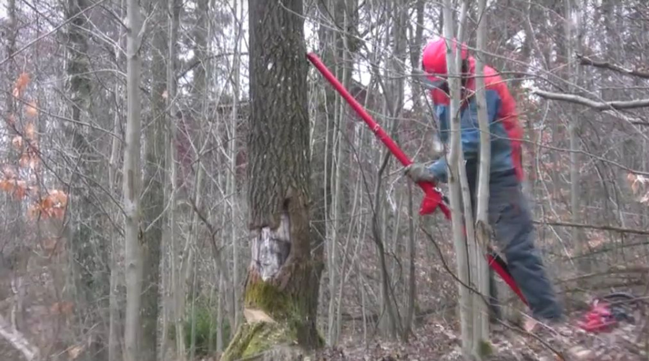 Reipal Type V RH-Tree Pusher Tree Jack from Sweden Pushing Hardwood Trees Safely