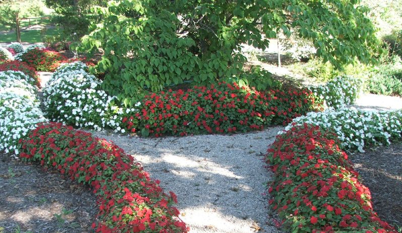 EZ 4x6 ft Raised Bed Garden Soxx kit  No Need to Weed! for Vegetables Flowers