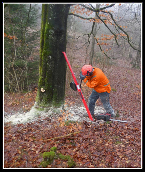 Reipal Type VI+ RH-PUSHER Tree Jack from Sweden with 23.6 inches longer Top Pipe for increased leverage.