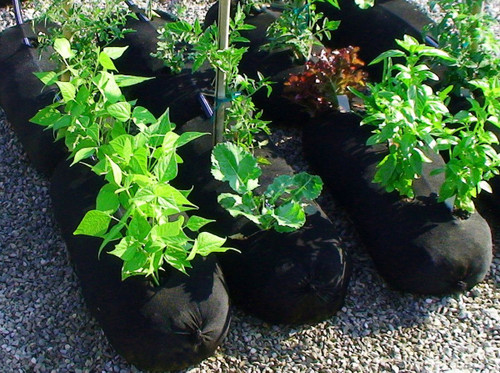 EZ 4x6 ft Raised Bed Garden Soxx kit  No Need to Weed! for Vegetables Flowers