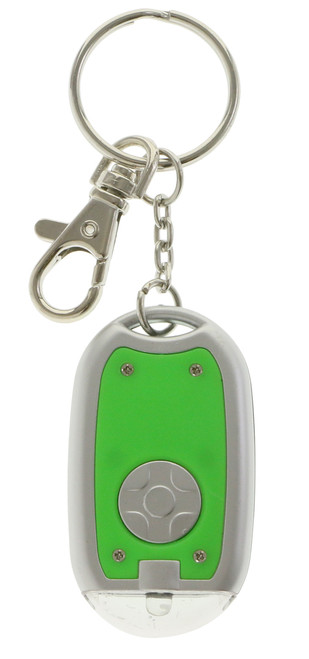 Oval shaped flashlight keychain KEKC6166
