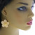 Translucent Acrylic Flower Dangle Earrings Assorted - E29380C