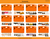 Taramanda Halloween DEAL (Assorted Styles 100dz)