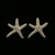 Nautical Starfish Stud-Earrings  With Crystal Accents Silver-Tone 12 Per Package E258A