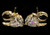 Gold tone cubic zirconia stud earrings with the stone as the body of a swan CZ20