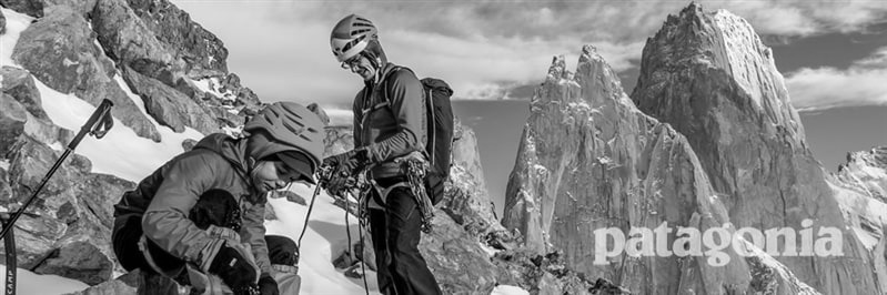 patagonia branded backpacks