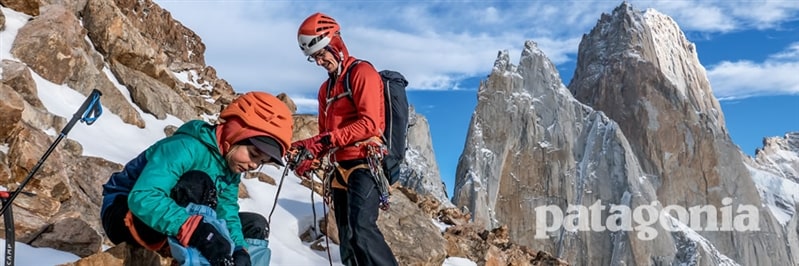 patagonia branded backpacks