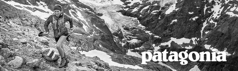 Patagonia Custom Logo Shorts