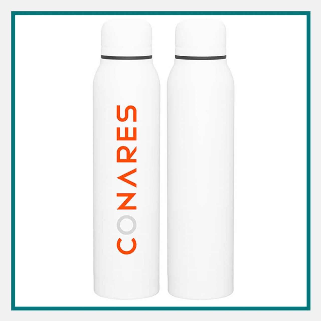 Custom Printed 16.9 Oz Stainless Steel Thermos Bottles