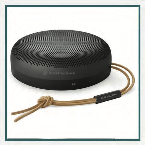 Bang & Olufsen Beosound A1 2nd Gen Portable Bluetooth Speaker with direct print design for premium sound.