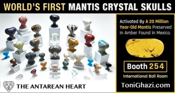 mantis-skull-banner-2025.jpg