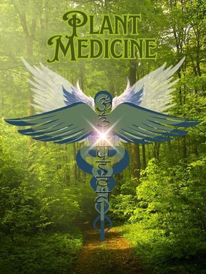 psychic-panel-2025.jpg