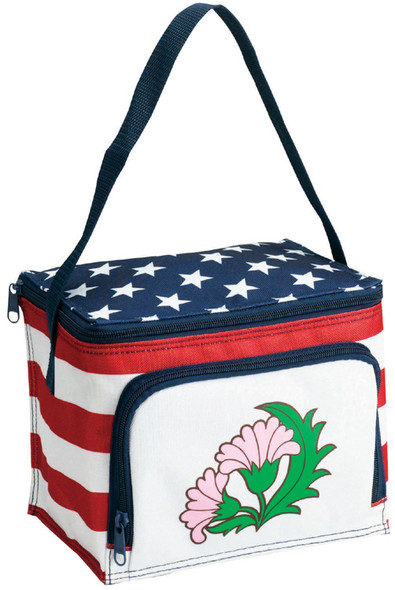 Stars and Stripes Lunch Bag and Cooler