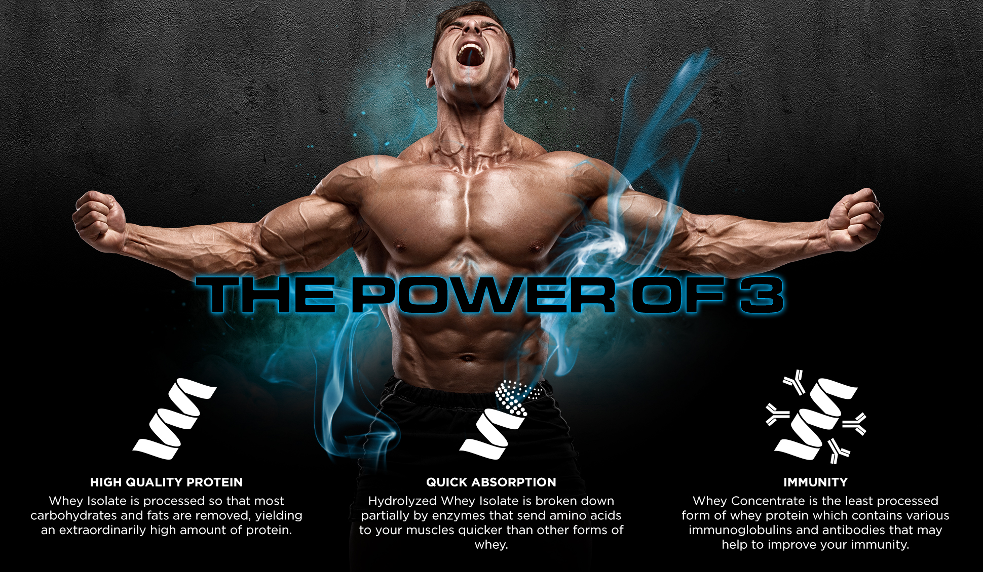 Ultra whey banner 2