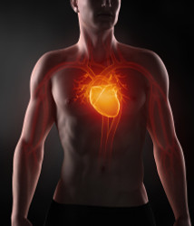 Top Supplement for Heart Health and Hypertension Management