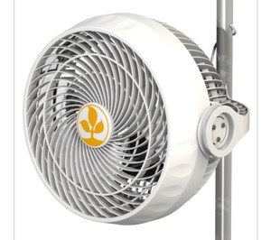 secret jardin monkey fan 30w