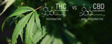 ​What are THC and CBD, and how do they help?