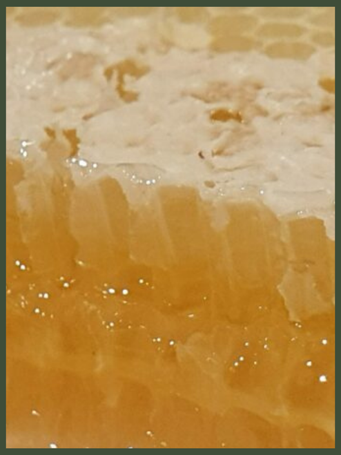 Pure Comb Honey