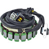 Arrowhead Suzuki 12V Stator - 340-58111 Photo - Primary