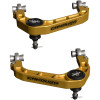Camburg Ford F-150 21-25 KINETIK Series X-Joint XL Upper Control Arm Kit (GOLD) - CAM-110235-GLD Photo - Primary