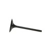 User 2