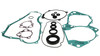 User 2