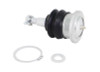 Whiteline 06-22 Ford Expedition Fixed Offset UCA Replacement Ball Joint Kit - KSK185 Photo - Primary