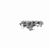 360 Degree Image Set