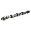 Edelbrock Chrysler 273-360 SB Rollin Thunder Camshaft - Hydraulic Roller - 2213 Photo - Primary
