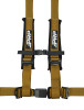 PRP 4.2 Harness- Gold - SBAUTO2GO Photo - Primary