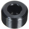 Allen Plug NPT 1/2in