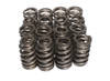 GM LS1/LS6 Valve Spring Set