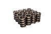 Hi-Tech 1.563 Dia. Dual Valve Springs- W/Damper