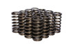 .953 Dia. Inner Valve Springs - .697 ID.