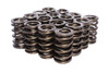 1.384 Dia. Dual Valve Springs- .805 ID.