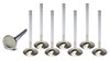 BBF C/P 1.770 Exhaust Valves