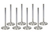 BBF C/6 2.190 Intake Valves 11/32 5.221 OAL