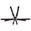 6pt Harness Camlock Indiv P/D Black  FIA